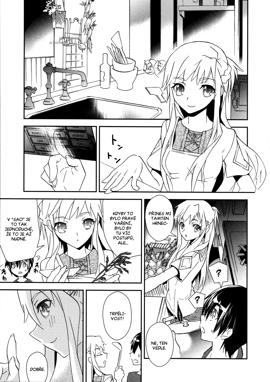 Sword_Art_Online_c03_019 kopie.jpg
